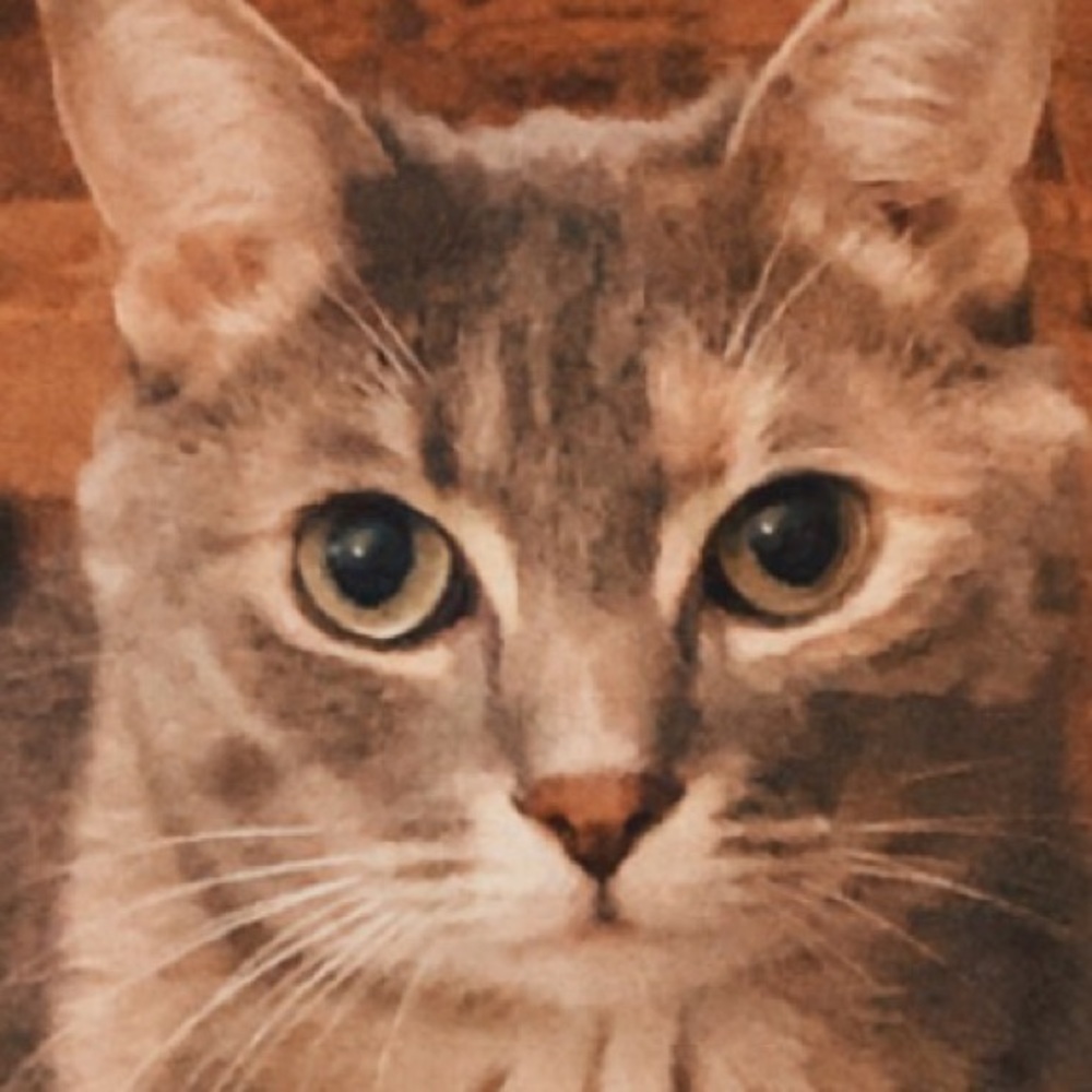 Meet your Posher, Cathy